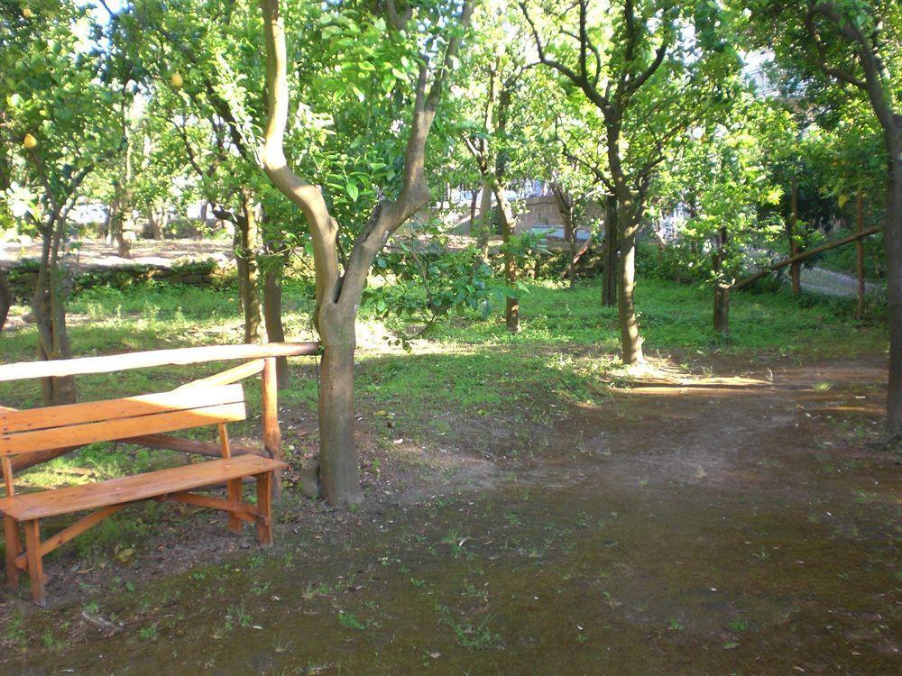 Paradiso Hébergement de vacances *