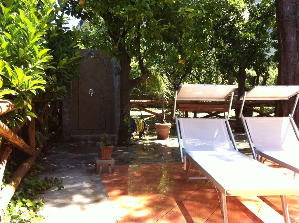 Paradiso Hébergement de vacances *